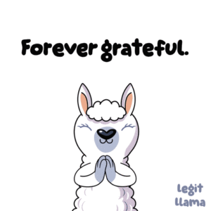 A peaceful lamb standing in a sunny meadow, eyes gently closed and head slightly bowed, radiating a calm and thankful expression—symbolizing the concept of gratitude journaling ideas through serene body language and a tranquil natural setting.